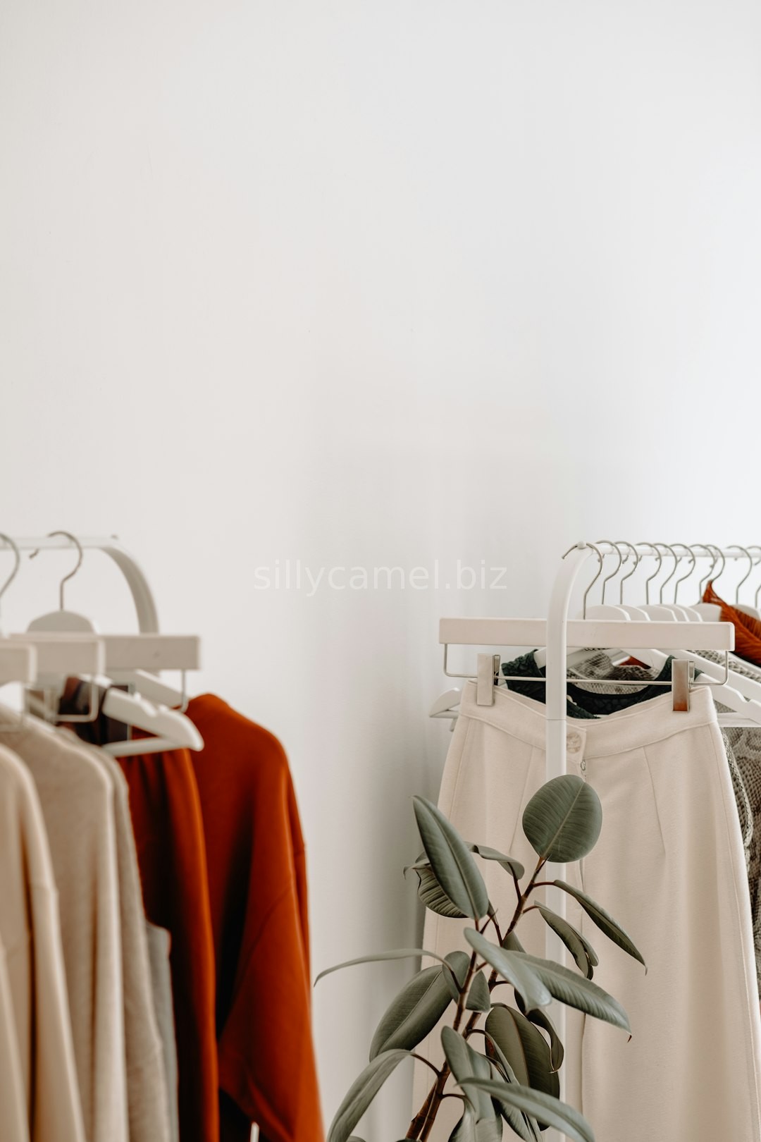 Seasonal Trends
